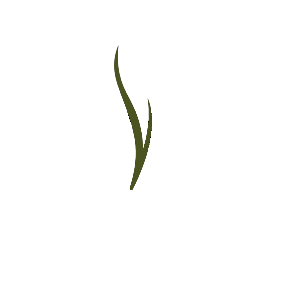 TVM Studios